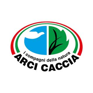 arcicaccia